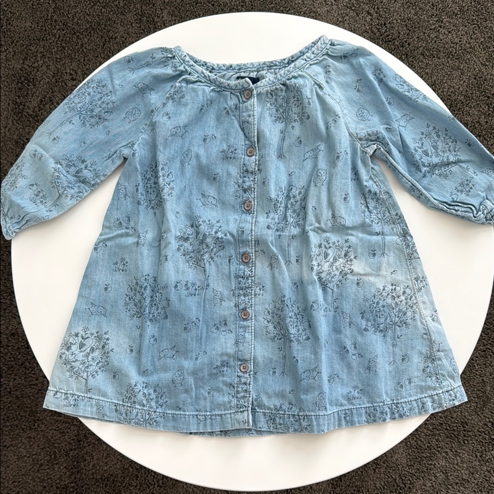 Baby Gap Chambray Blue Floral Dress 3T